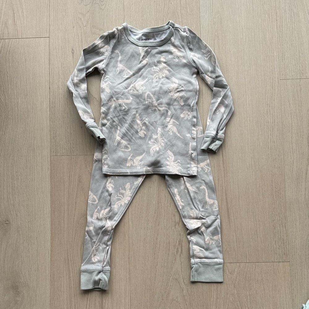 Gray Kids Glow in the Dark Dinosaur Pajamas Set